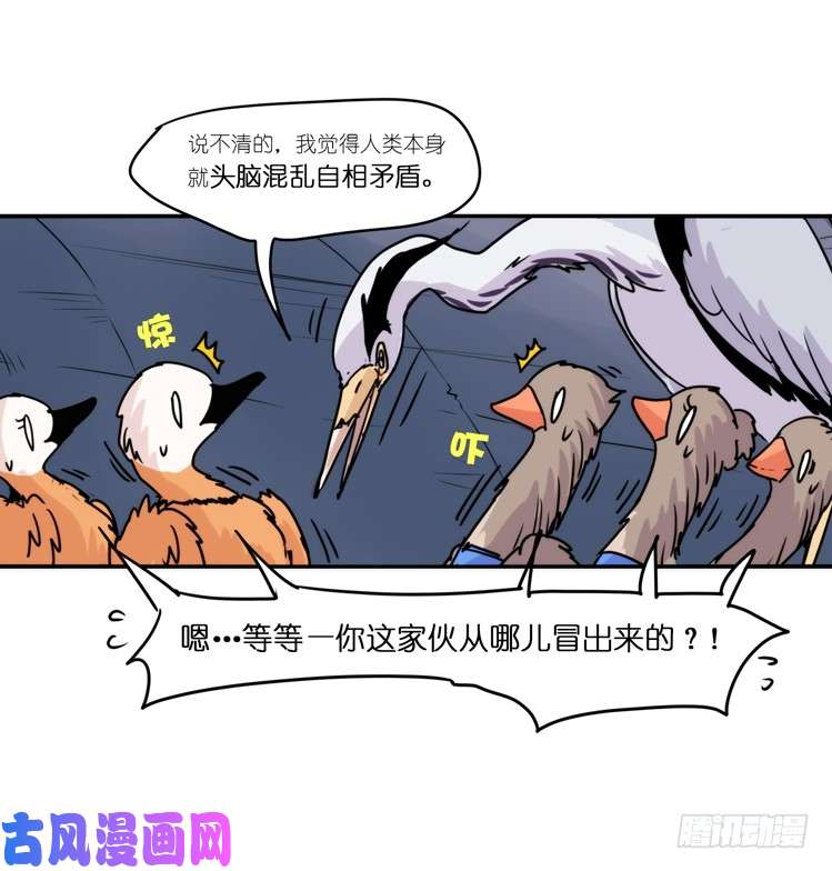 进化之基使命篇05：鸟眼看人奇