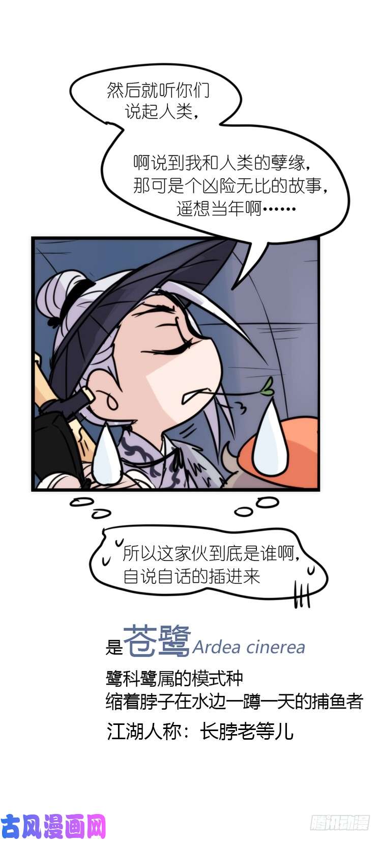 进化之基使命篇05：鸟眼看人奇