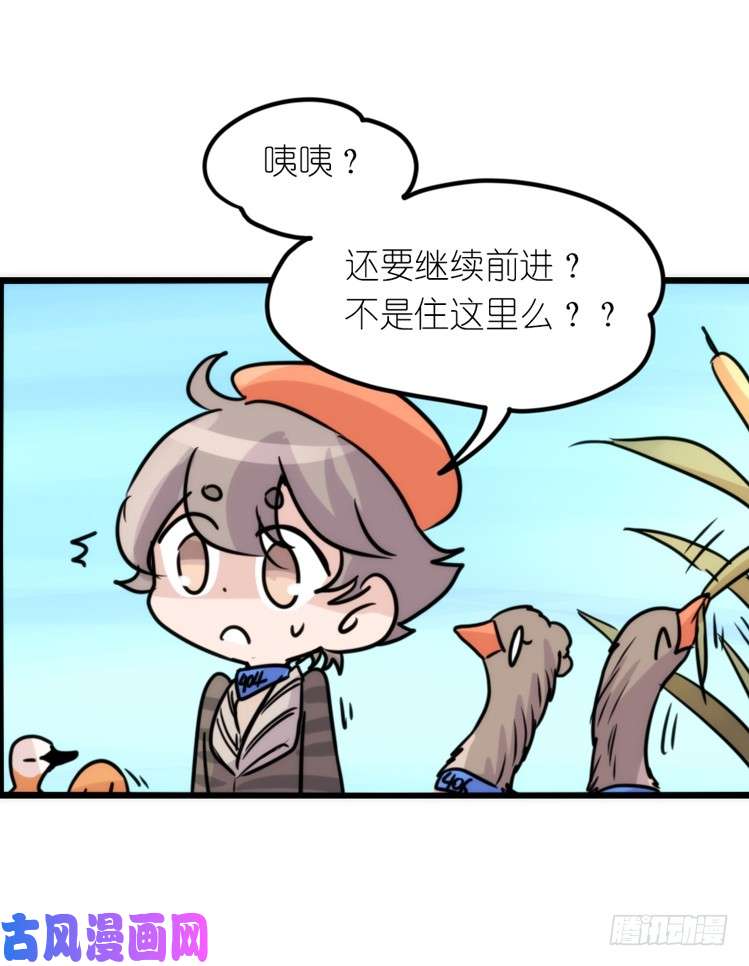 进化之基使命篇05：鸟眼看人奇