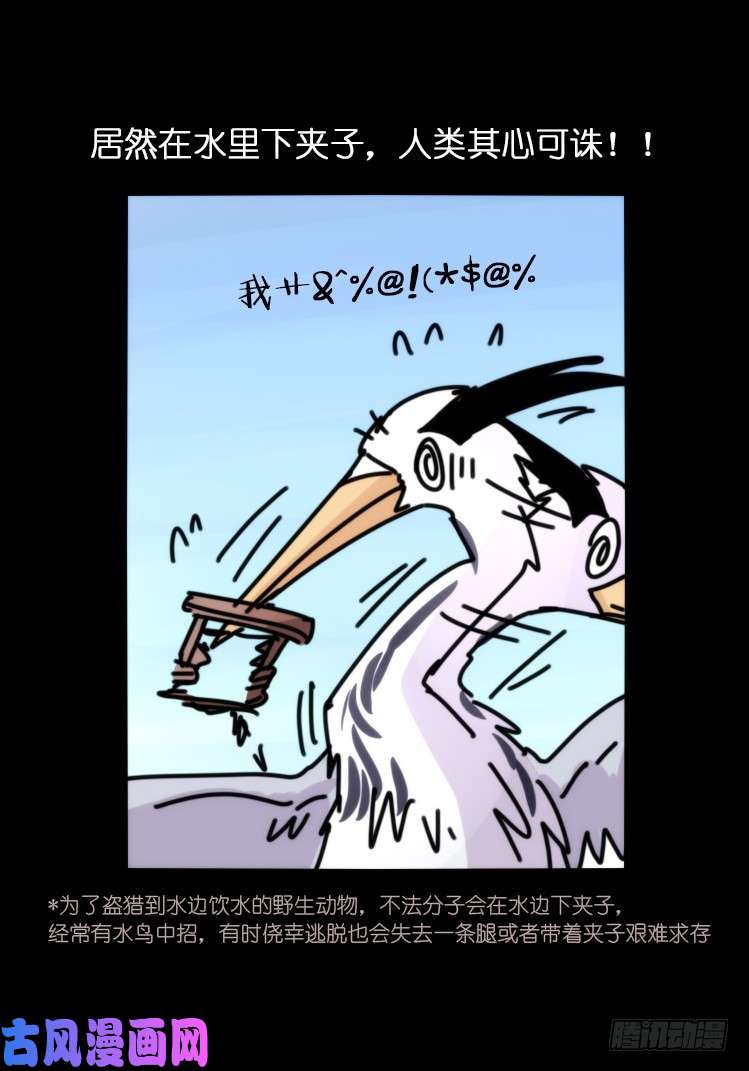 进化之基使命篇05：鸟眼看人奇