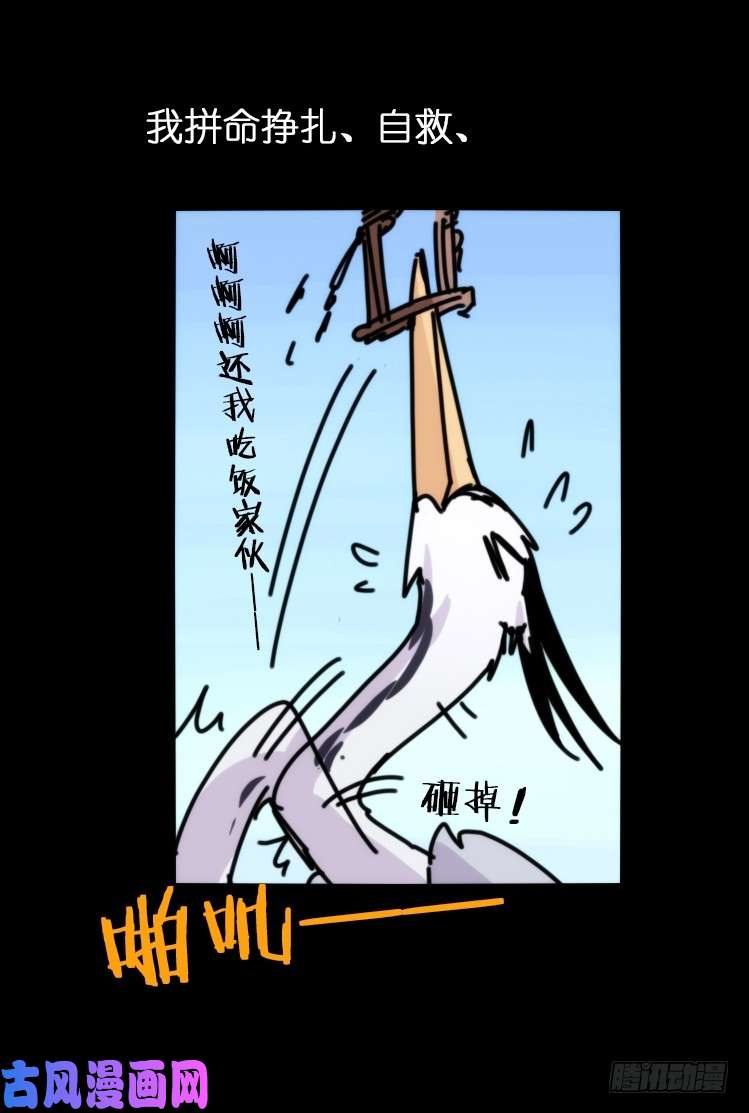 进化之基使命篇05：鸟眼看人奇