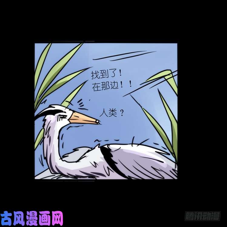 进化之基使命篇05：鸟眼看人奇