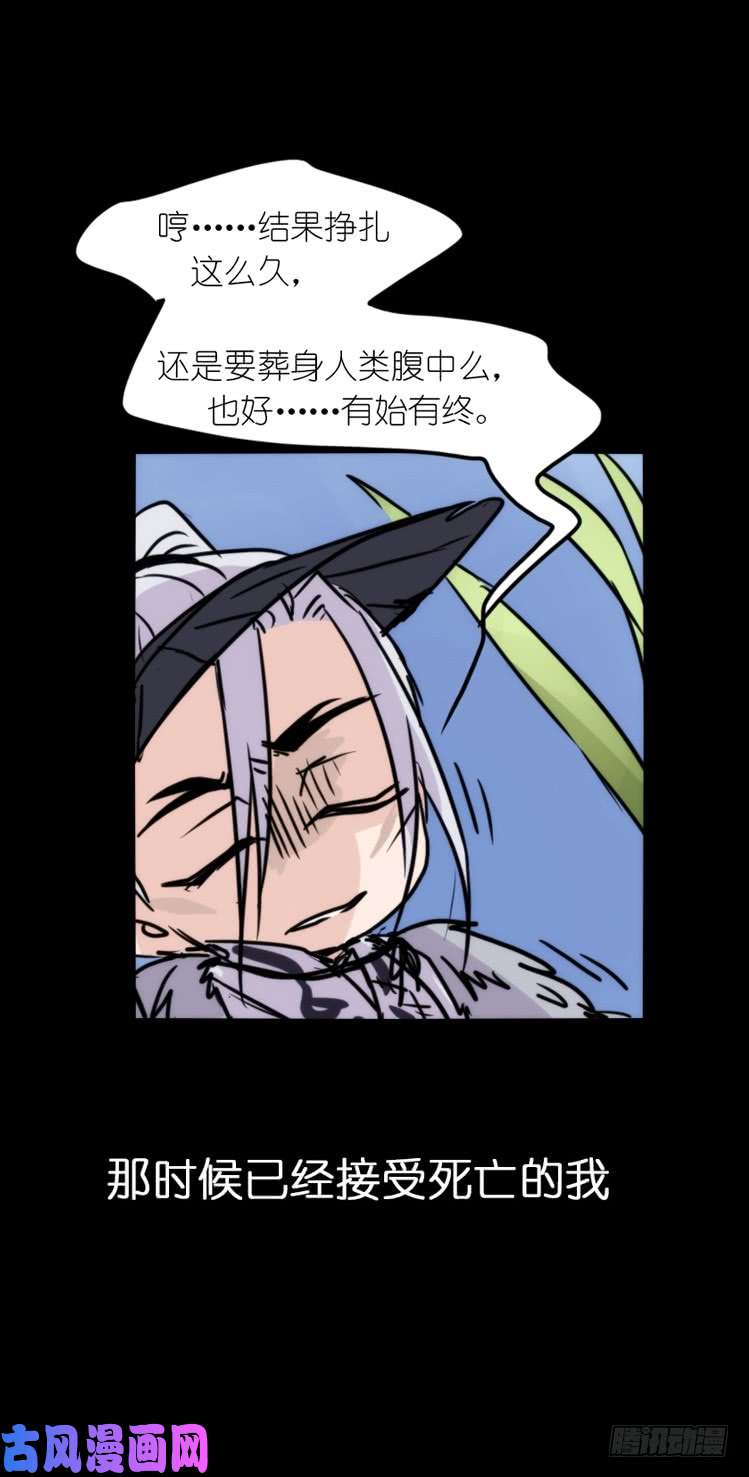 进化之基使命篇05：鸟眼看人奇