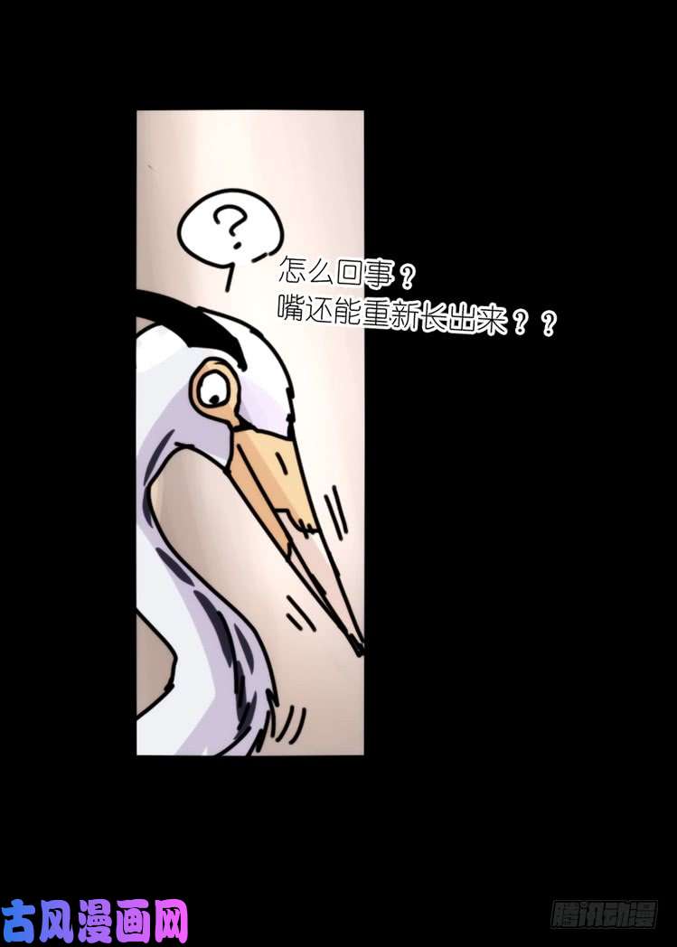 进化之基使命篇05：鸟眼看人奇