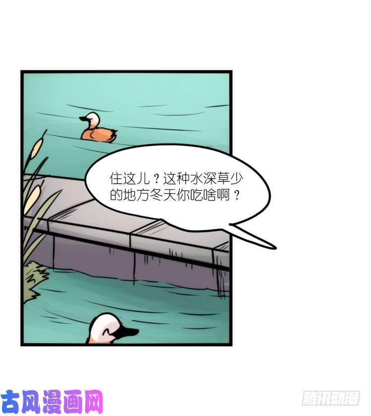 进化之基使命篇05：鸟眼看人奇