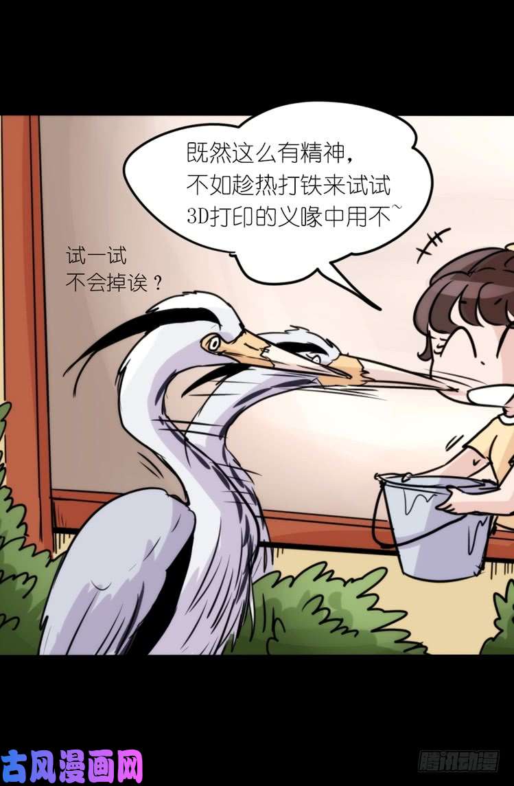 进化之基使命篇05：鸟眼看人奇