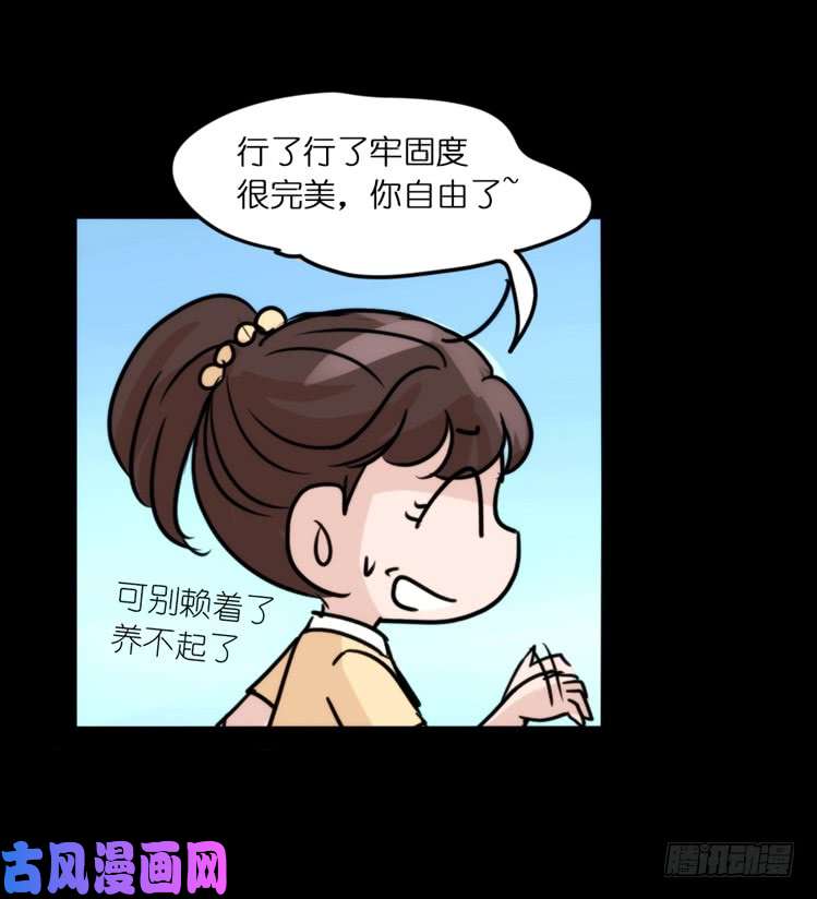 进化之基使命篇05：鸟眼看人奇