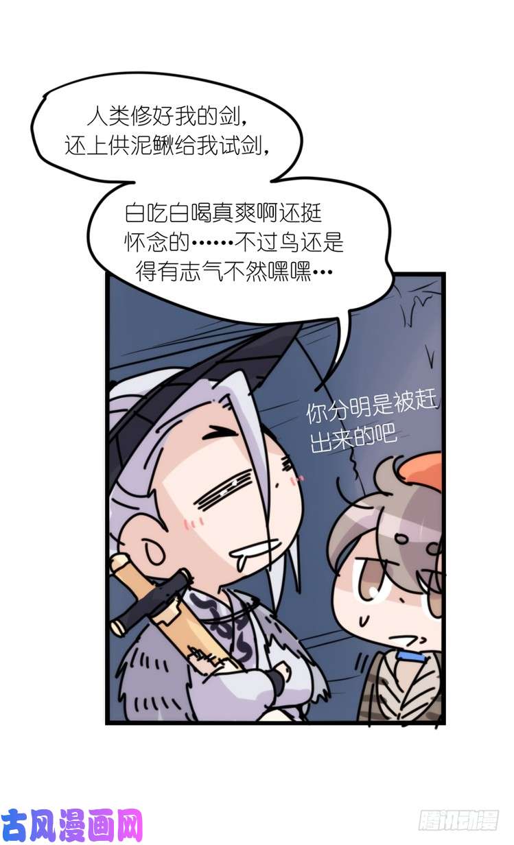 进化之基使命篇05：鸟眼看人奇