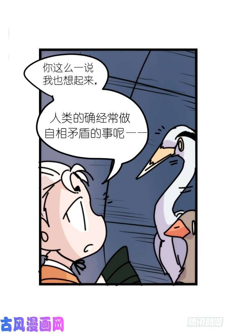 进化之基使命篇05：鸟眼看人奇