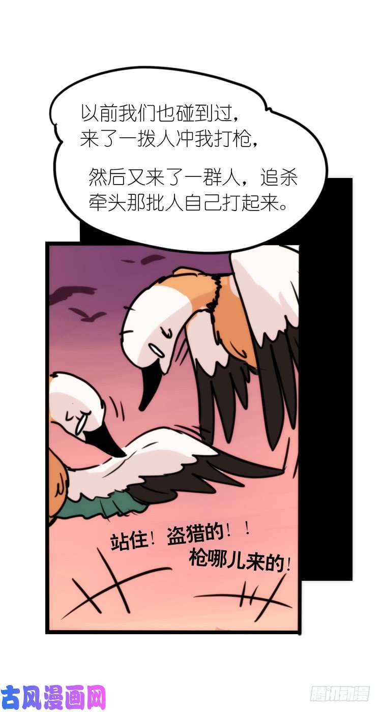 进化之基使命篇05：鸟眼看人奇
