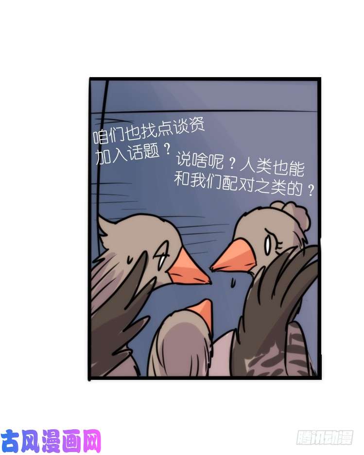 进化之基使命篇05：鸟眼看人奇