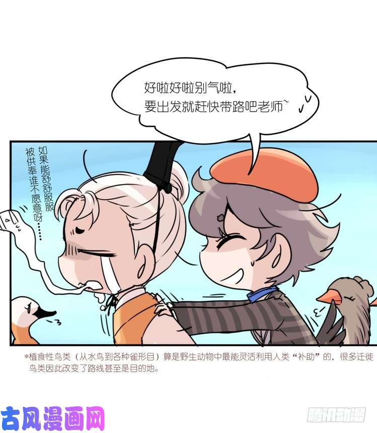 进化之基使命篇05：鸟眼看人奇