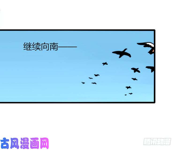 进化之基使命篇05：鸟眼看人奇