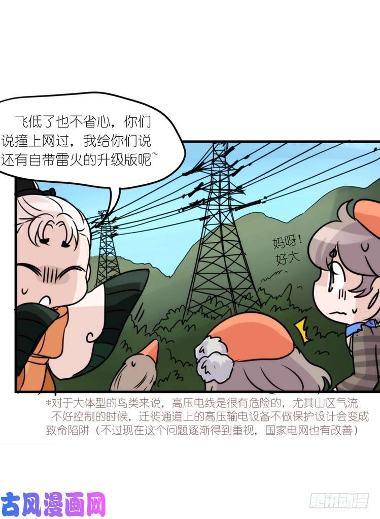 进化之基使命篇05：鸟眼看人奇