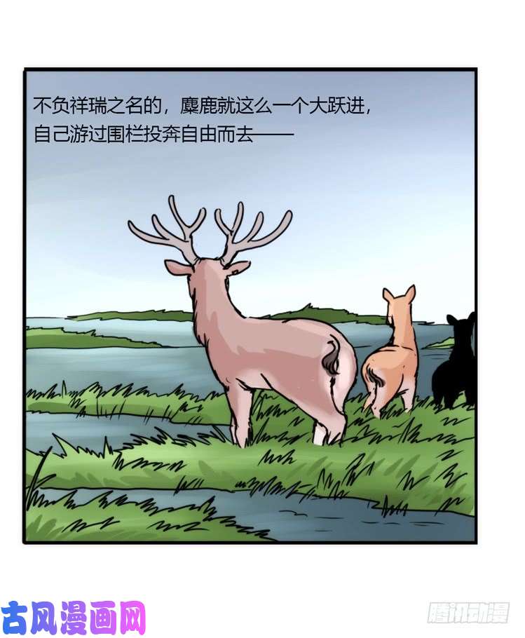 进化之基使命篇08：会笑运气不会差①