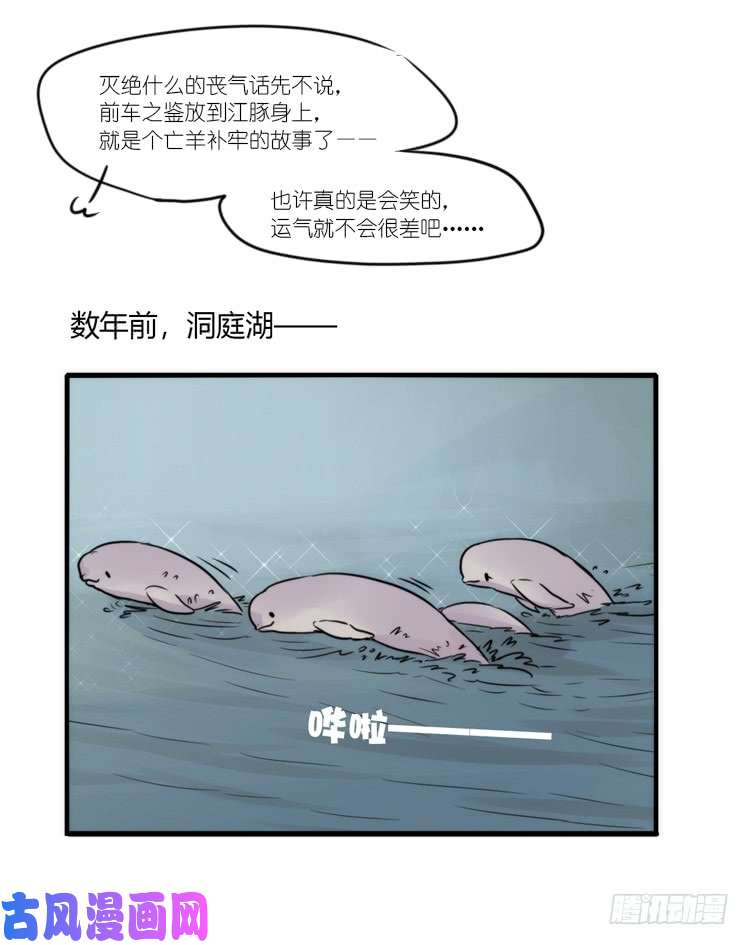 进化之基使命篇08：会笑运气不会差①