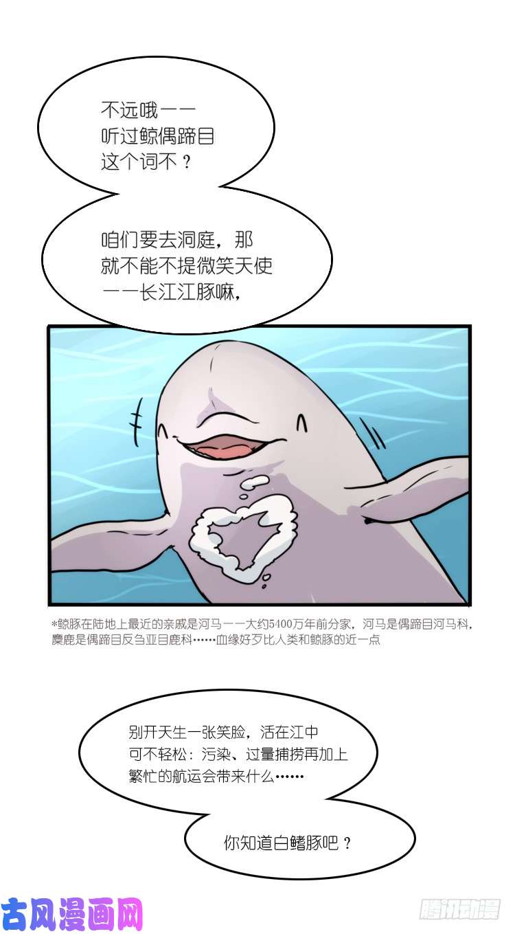 进化之基使命篇08：会笑运气不会差①