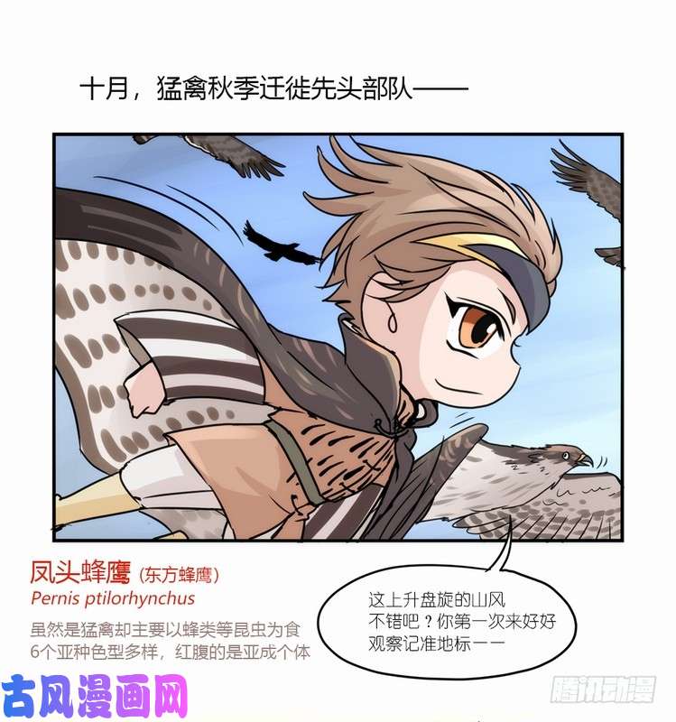 进化之基国庆小番外