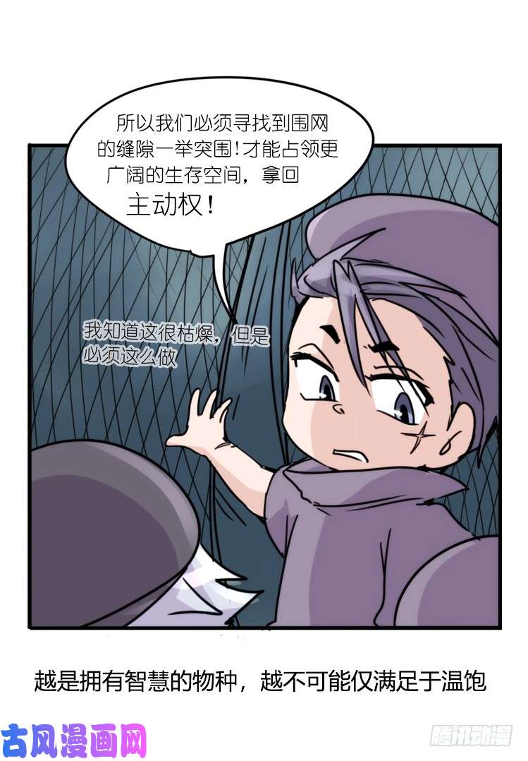 进化之基使命篇11：会笑运气不会差④