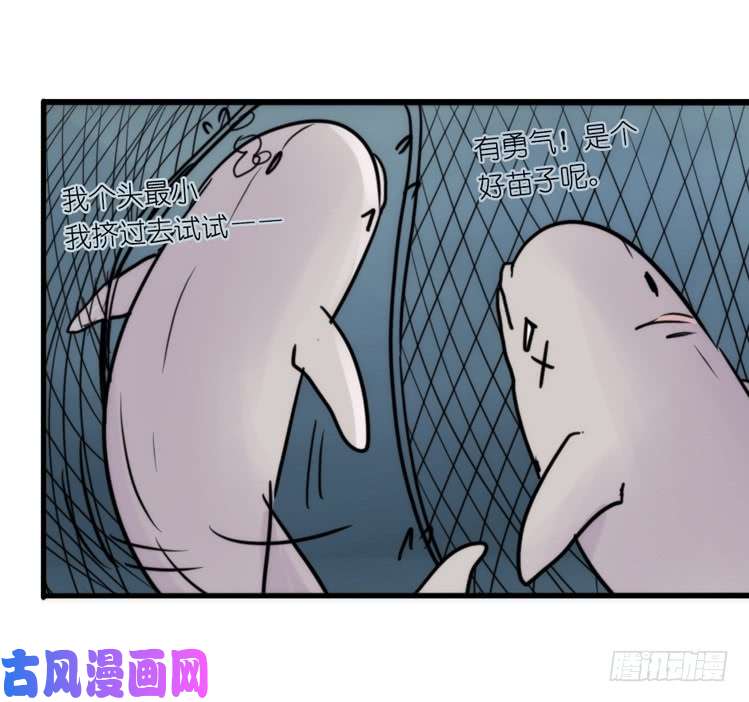 进化之基使命篇11：会笑运气不会差④