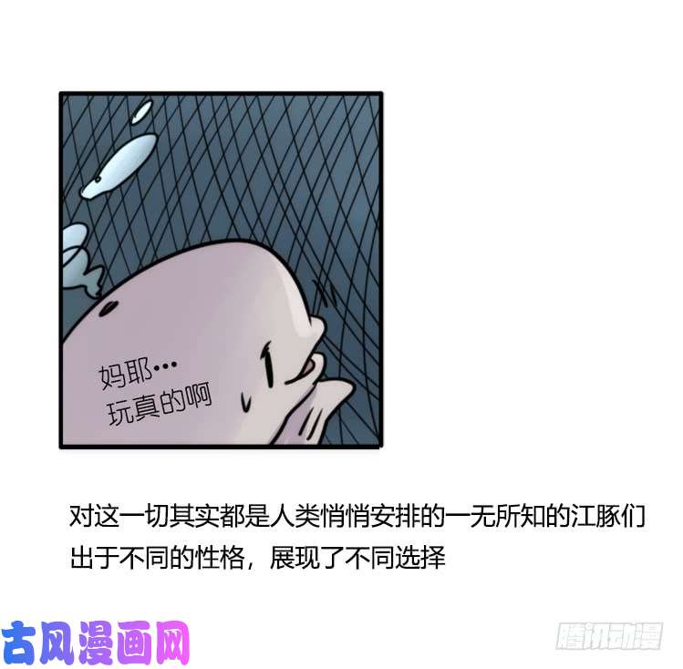 进化之基使命篇11：会笑运气不会差④