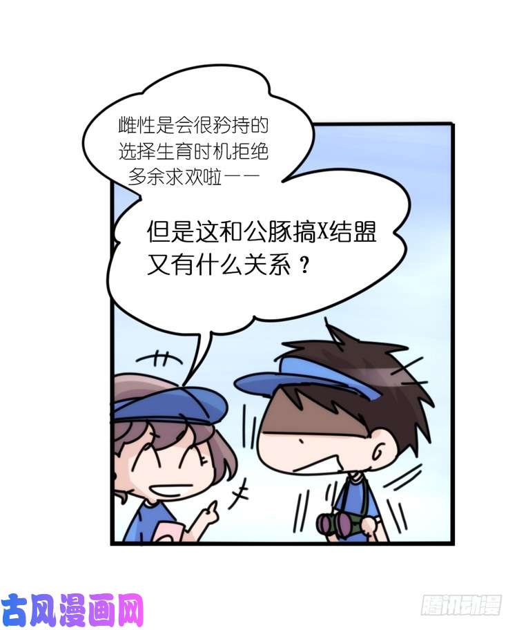 进化之基使命篇11：会笑运气不会差④
