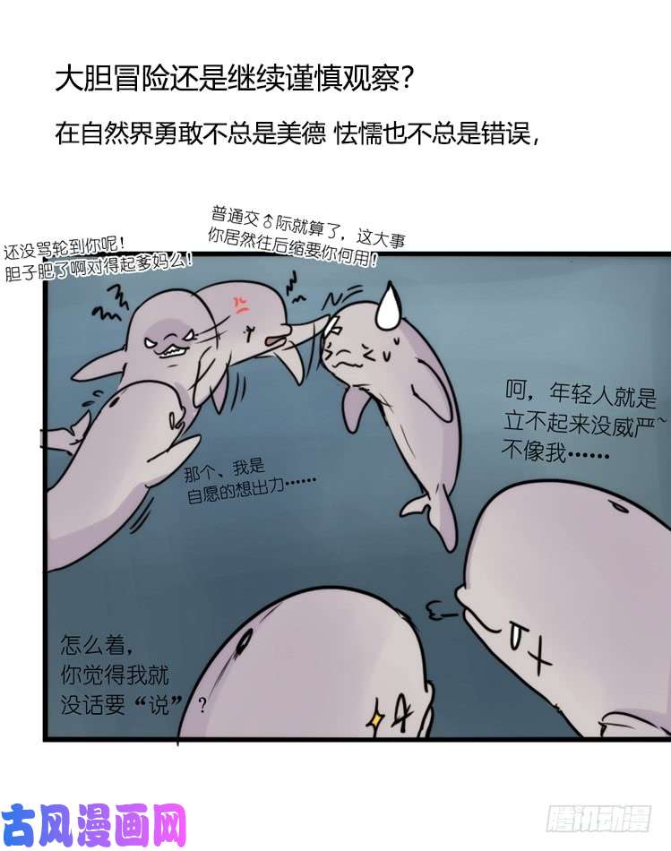 进化之基使命篇11：会笑运气不会差④