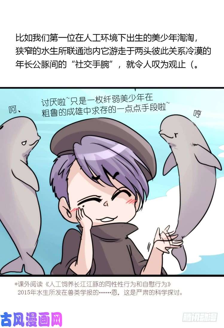 进化之基使命篇11：会笑运气不会差④