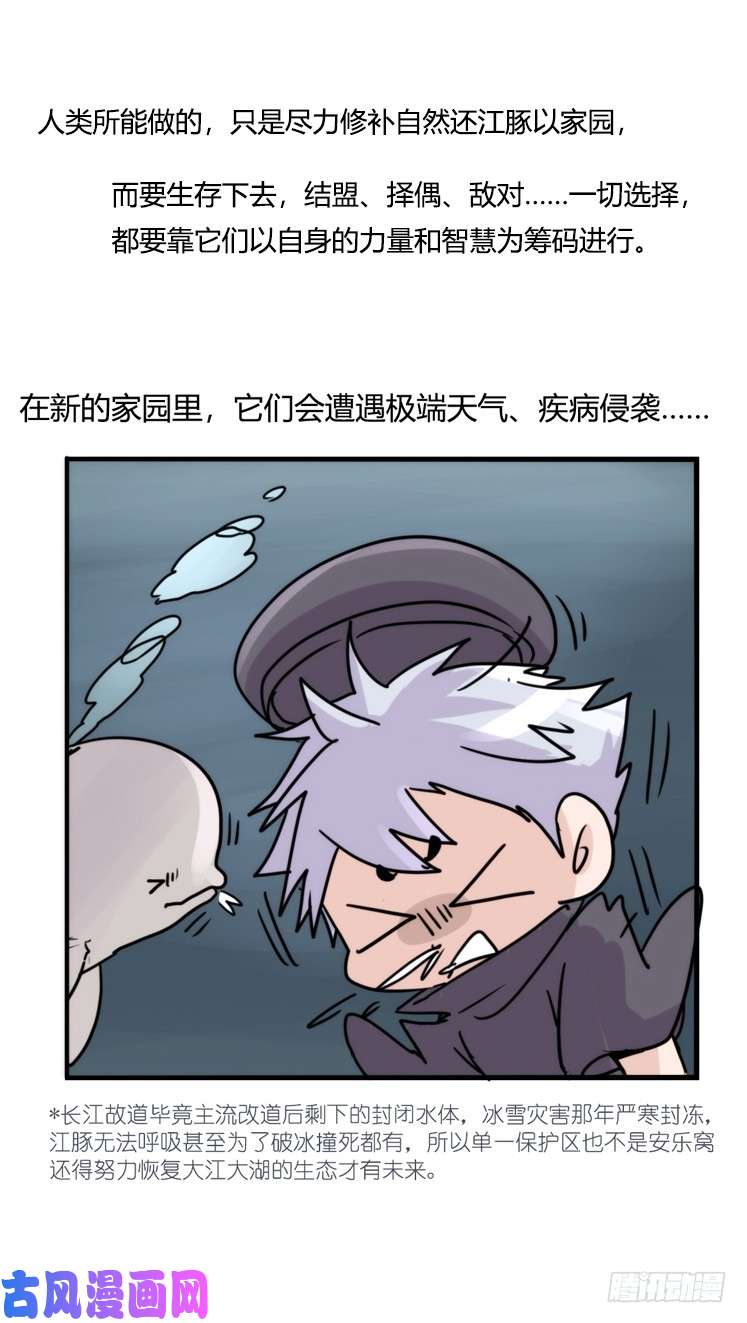 进化之基使命篇11：会笑运气不会差④