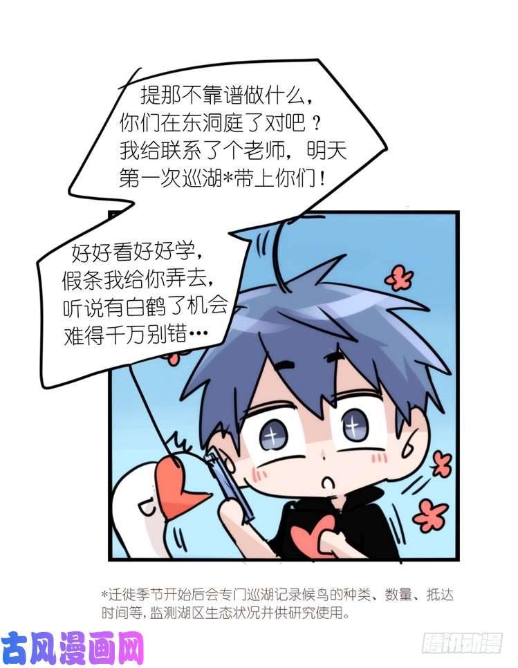 进化之基使命篇13：新手专属幸运光环