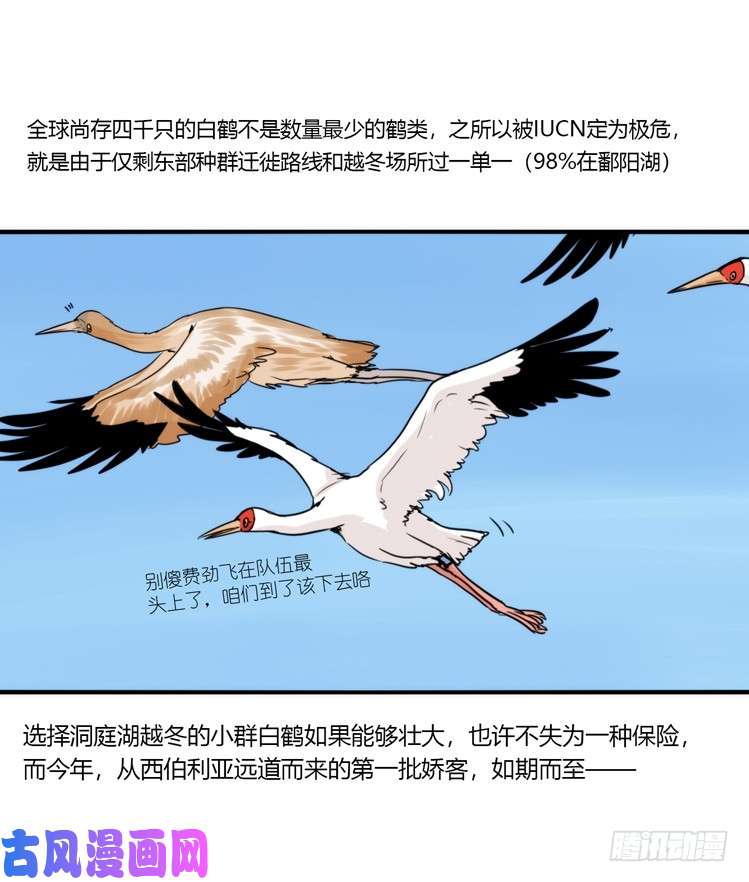 进化之基使命篇13：新手专属幸运光环
