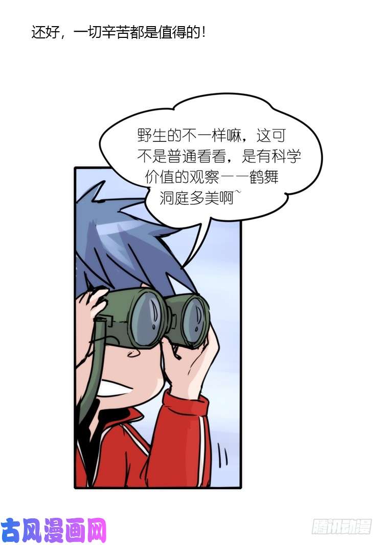进化之基使命篇13：新手专属幸运光环