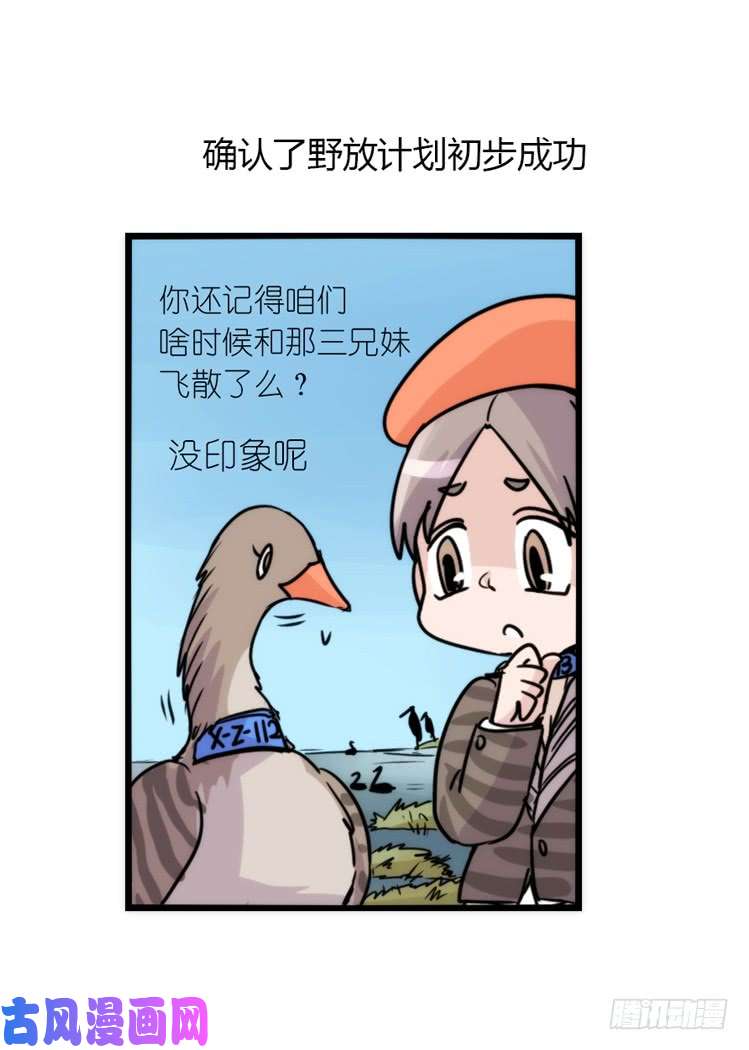 进化之基使命篇13：新手专属幸运光环