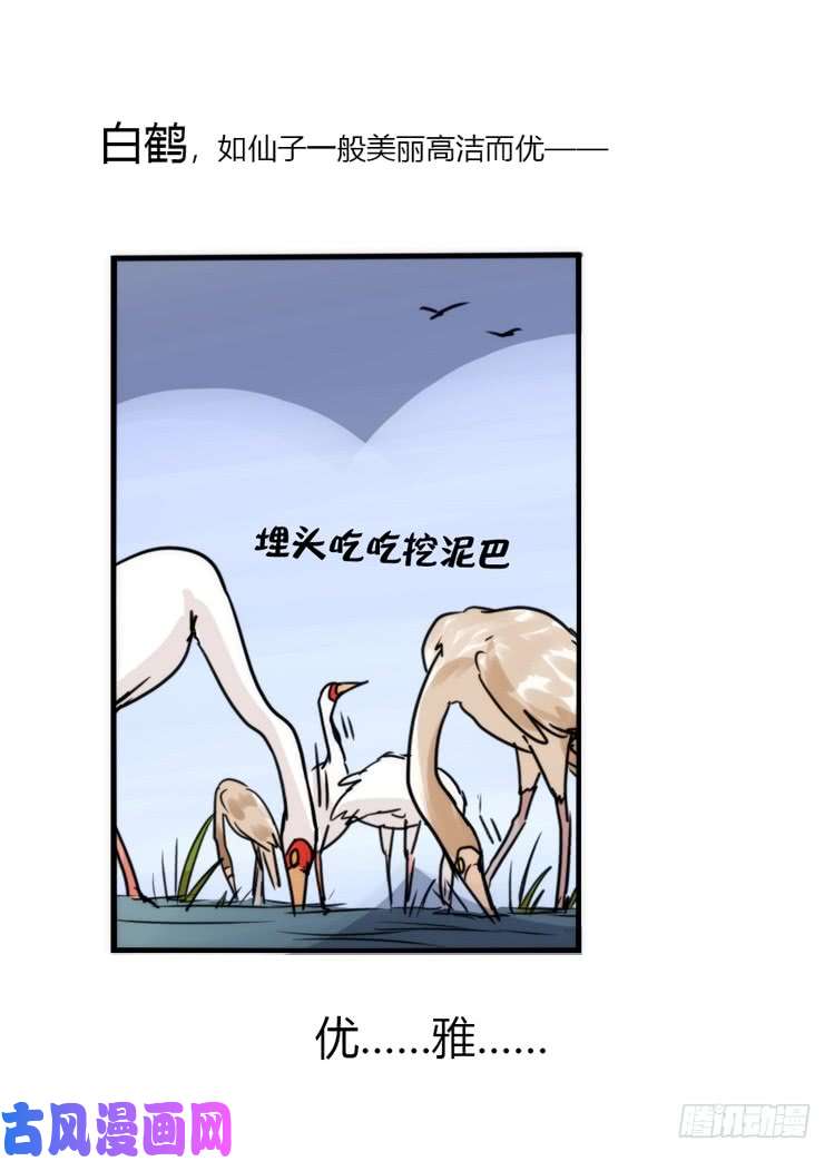 进化之基使命篇13：新手专属幸运光环