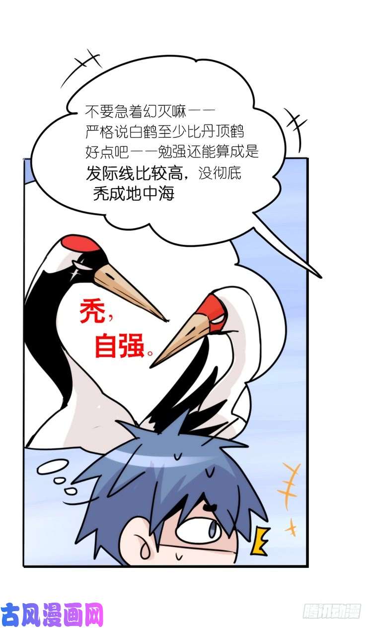 进化之基使命篇13：新手专属幸运光环