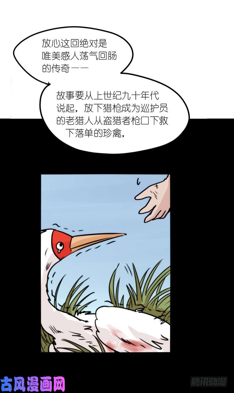 进化之基使命篇13：新手专属幸运光环