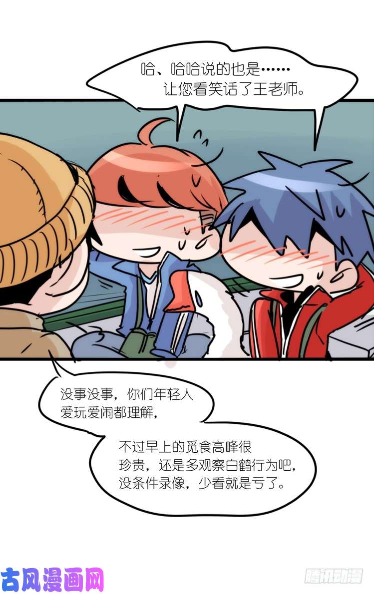 进化之基使命篇13：新手专属幸运光环