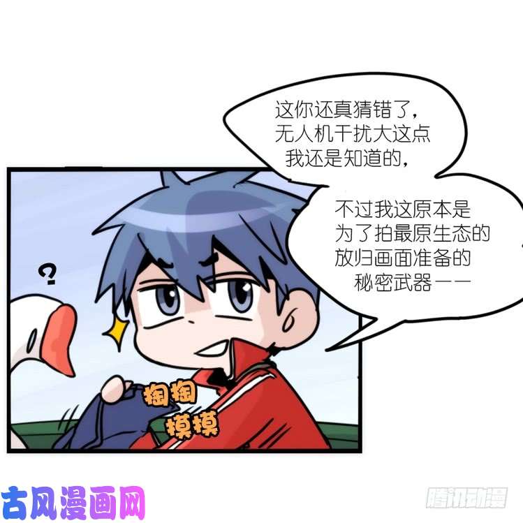 进化之基使命篇13：新手专属幸运光环