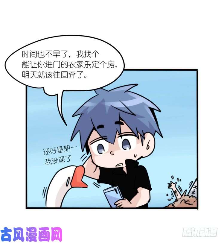 进化之基使命篇13：新手专属幸运光环