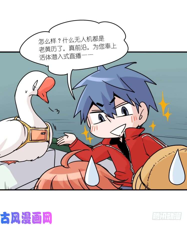 进化之基使命篇14：科学观鸟法