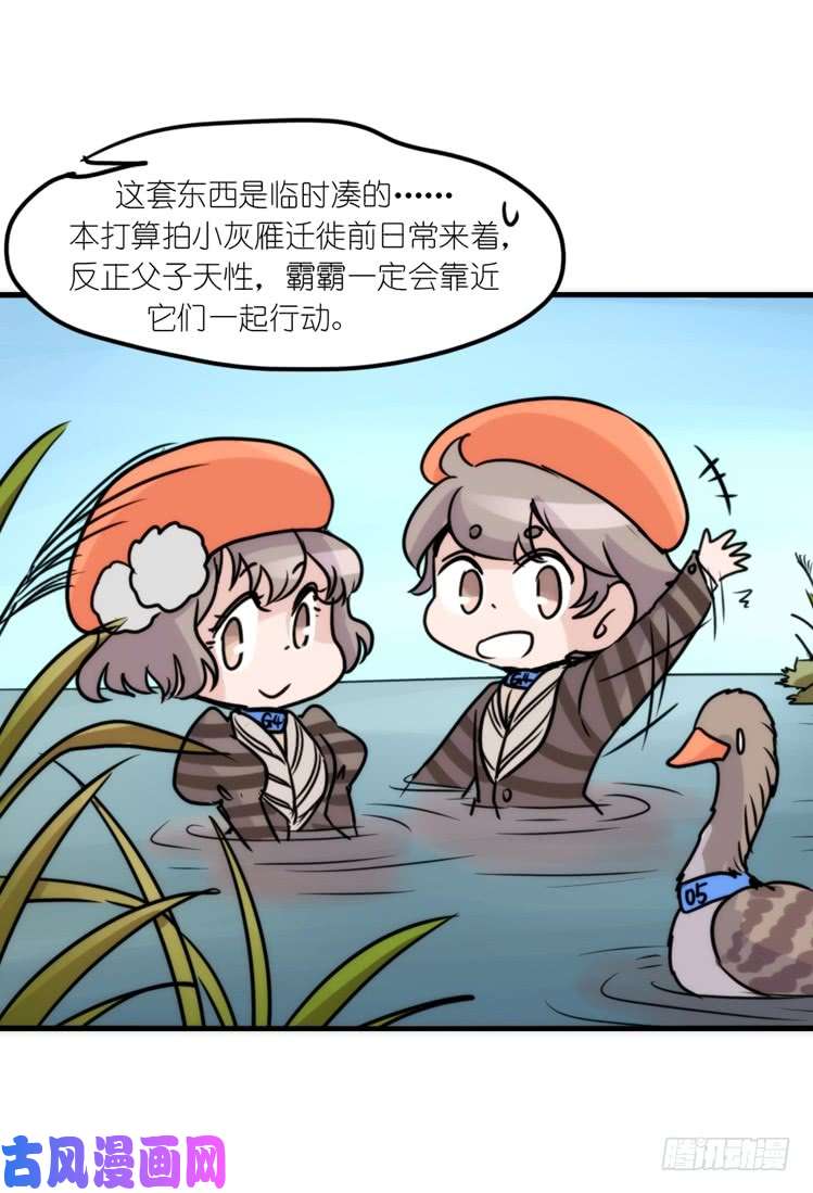 进化之基使命篇14：科学观鸟法