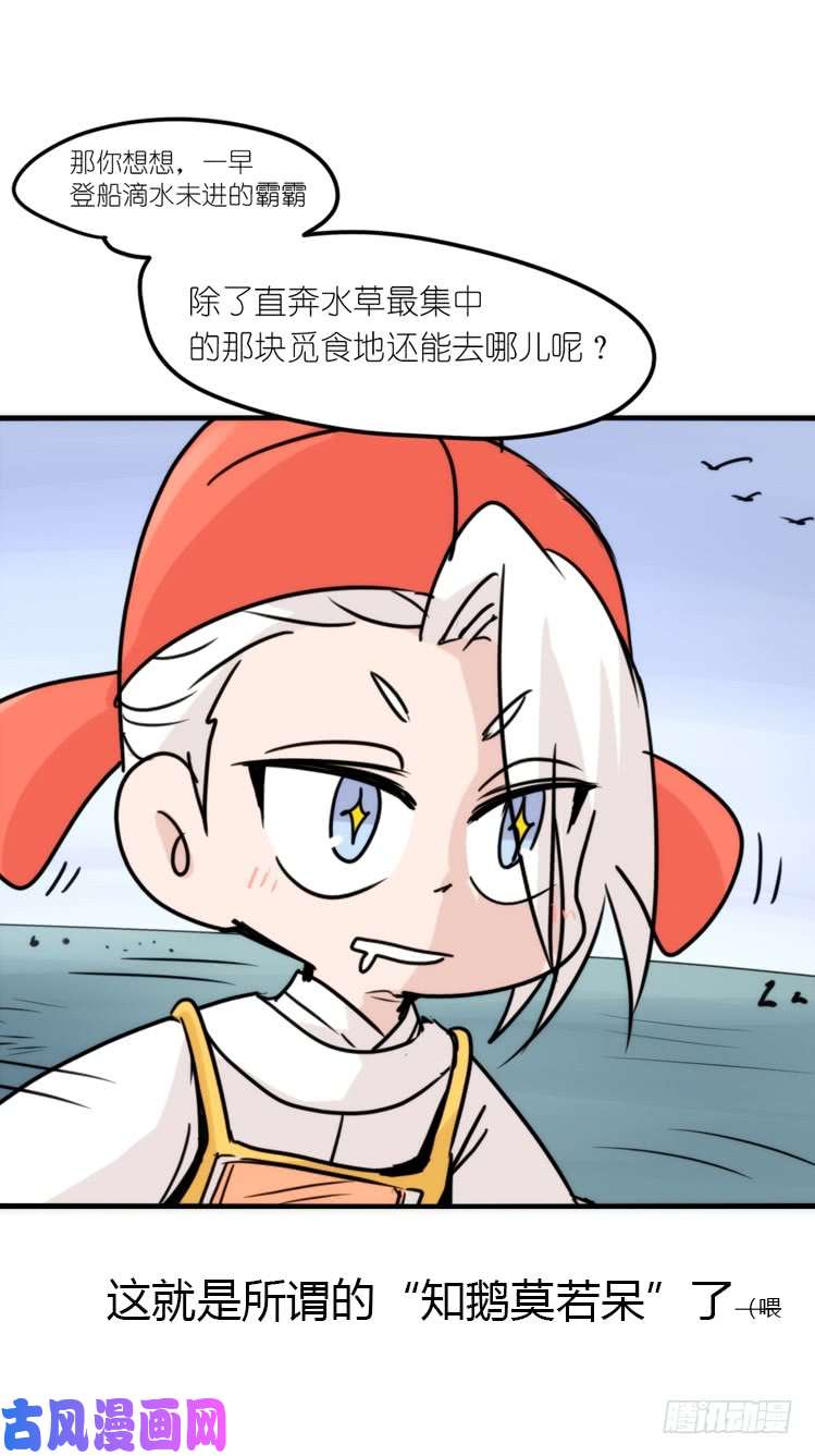 进化之基使命篇14：科学观鸟法