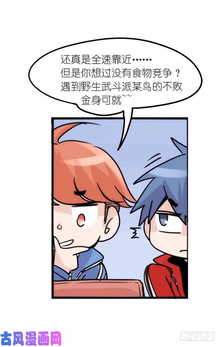 进化之基使命篇14：科学观鸟法