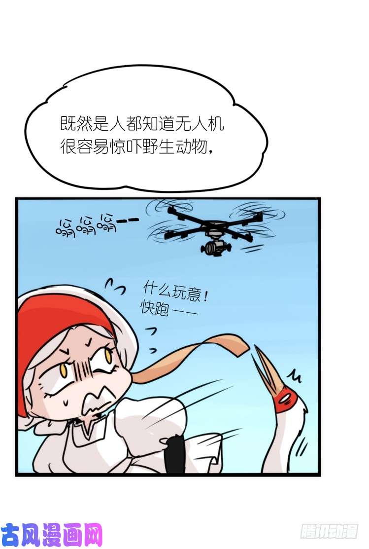 进化之基使命篇14：科学观鸟法