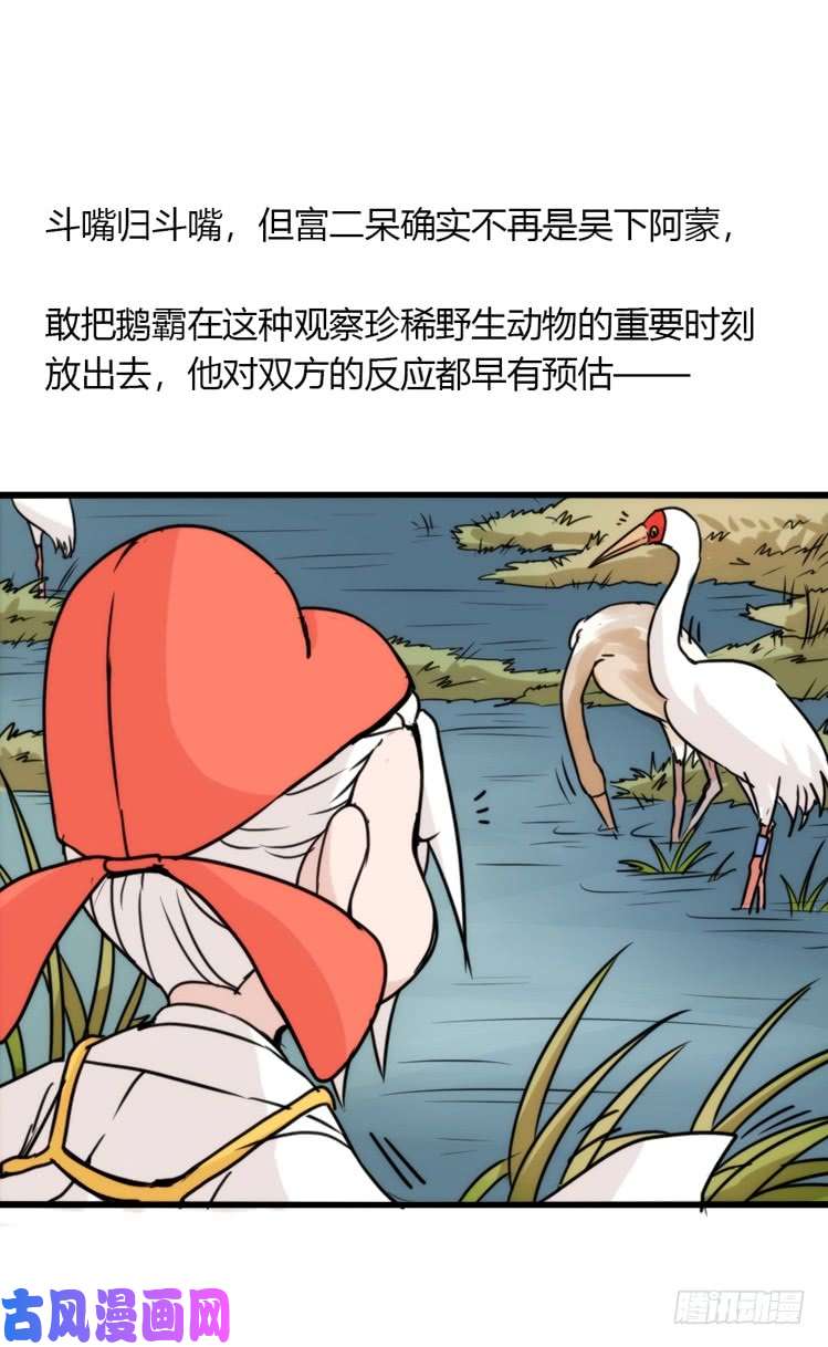 进化之基使命篇14：科学观鸟法