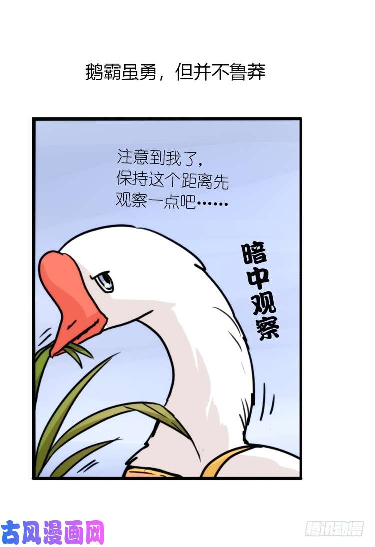 进化之基使命篇14：科学观鸟法
