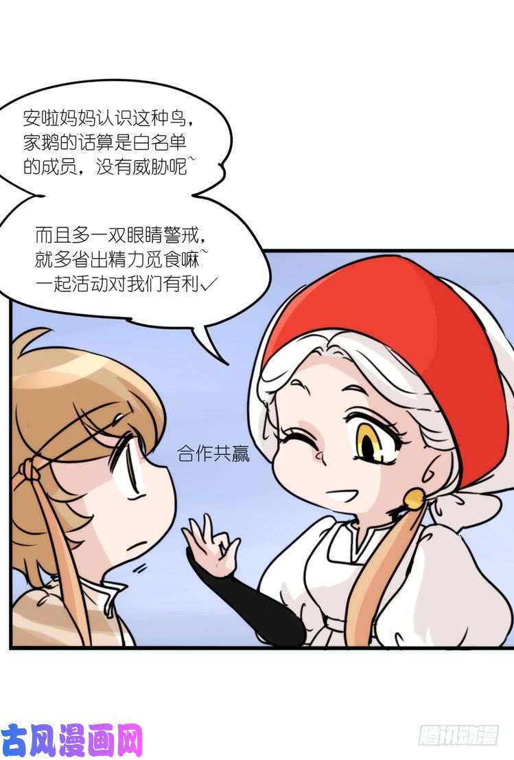 进化之基使命篇14：科学观鸟法