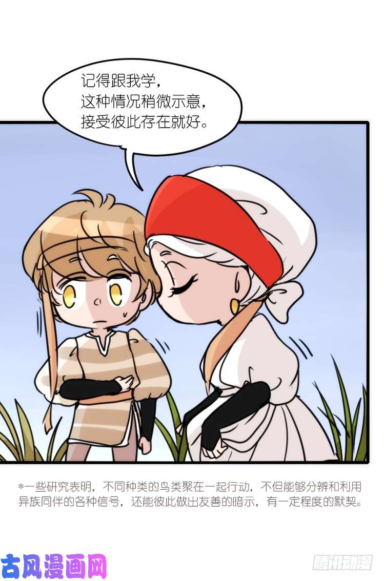 进化之基使命篇14：科学观鸟法
