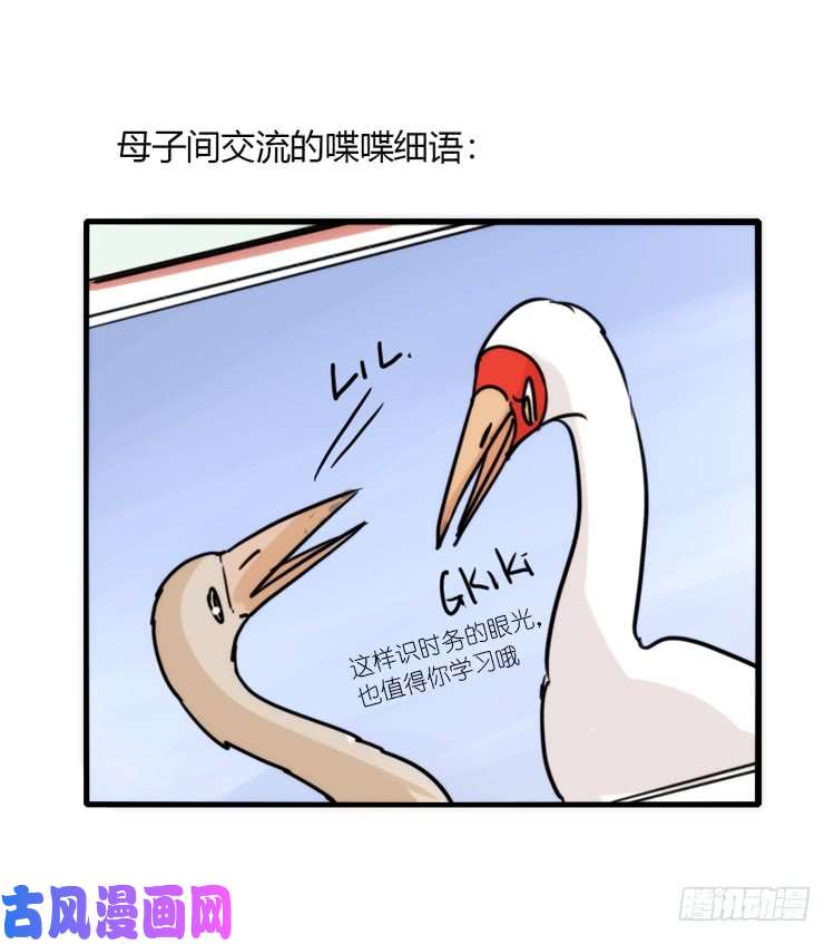 进化之基使命篇14：科学观鸟法
