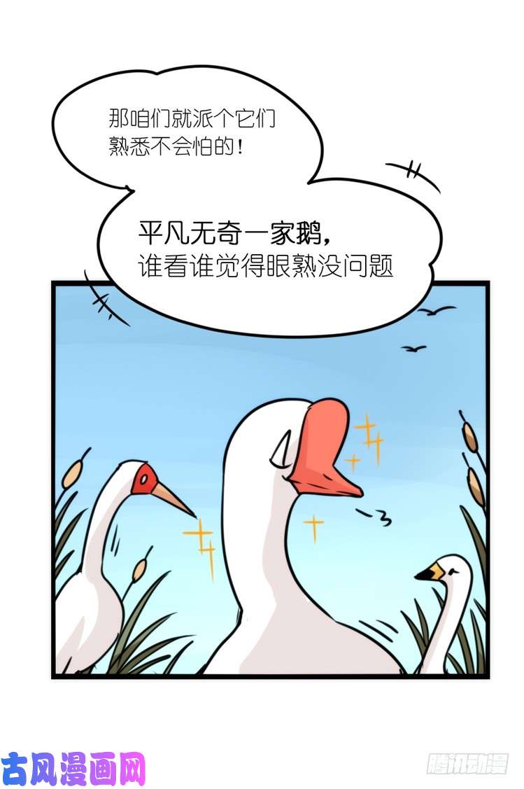 进化之基使命篇14：科学观鸟法